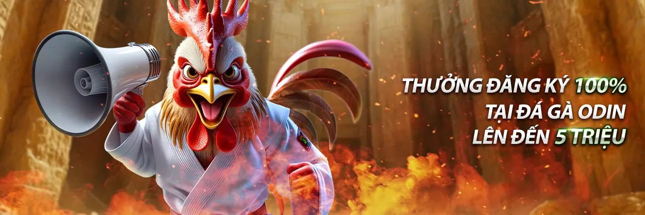 Hướng dẫn chi tiết luật cá cược thể thao trên ae888 ae288.net